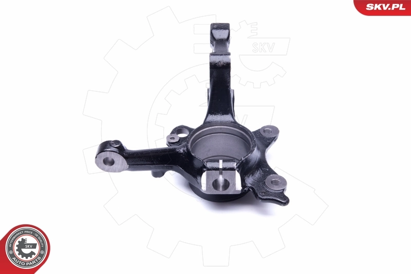 Steering Knuckle, wheel suspension